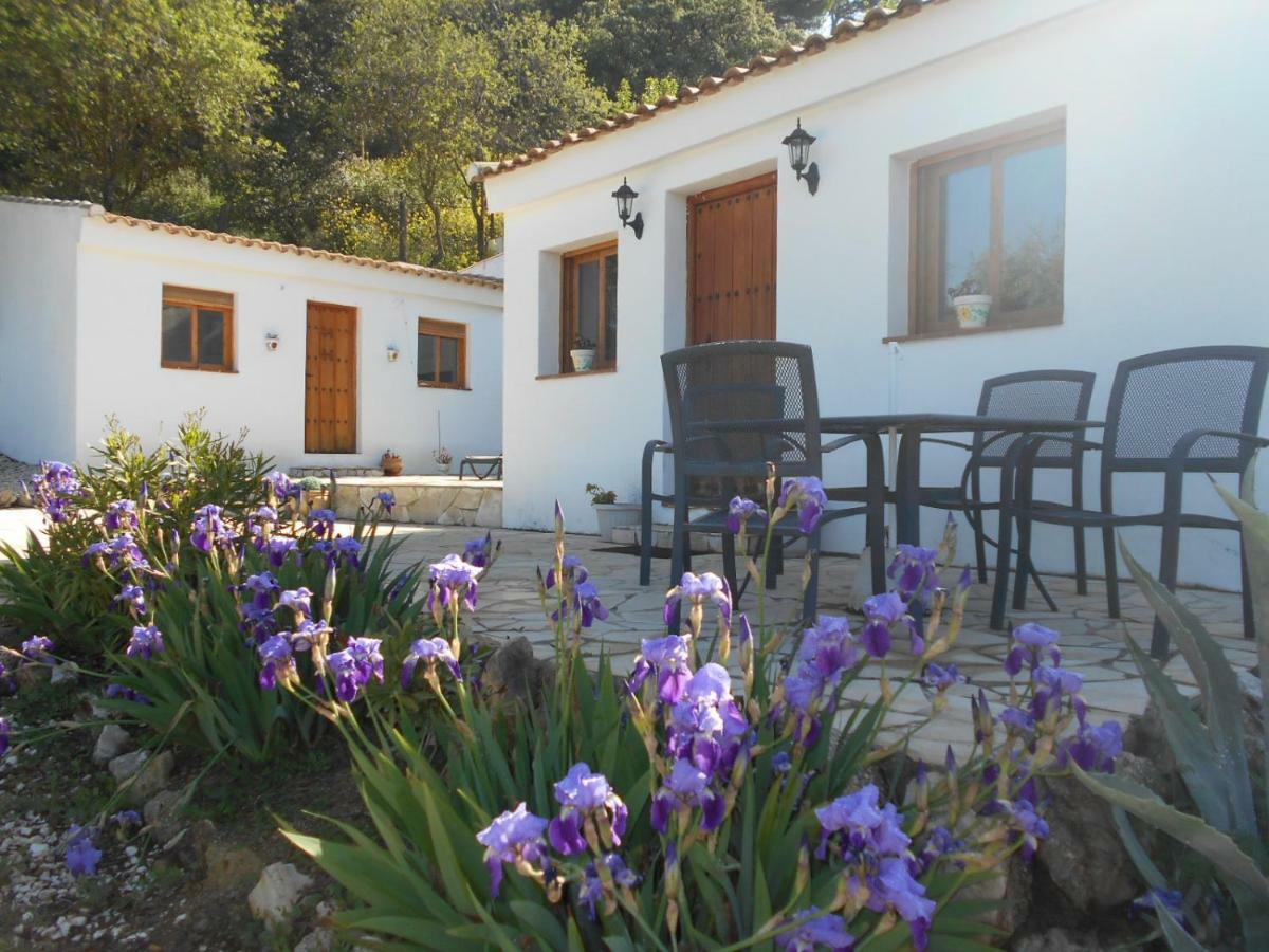 La Casita, Zagra Vila La Carrera de la Vina Exterior foto